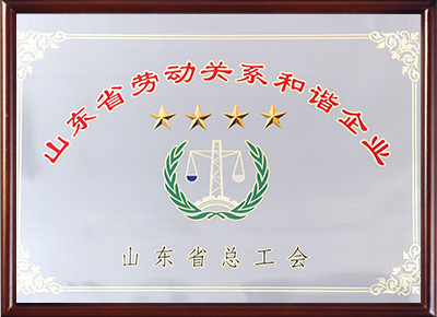 山東省勞動(dòng)關(guān)系和諧企業(yè)